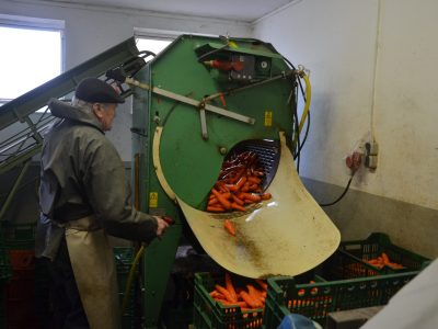 Áreas produtoras de hortaliças na Alemanha são alguns dos principais destinos dos viajantes